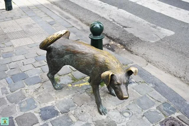 Zinneke Pis, Bruselas
