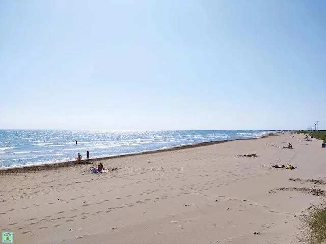 Playa de la Marquesa en el Delta del Ebro