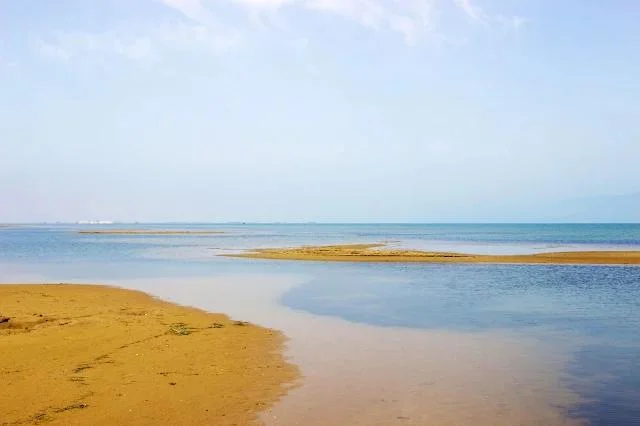Playa de los Eucaliptus, Delta del Ebro
