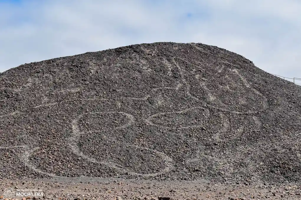 Gato de Paracas, Nazca