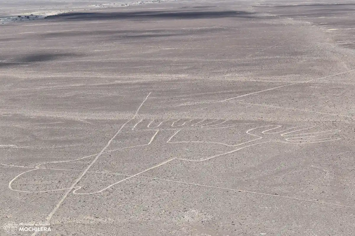 Animales Líneas de Nazca
