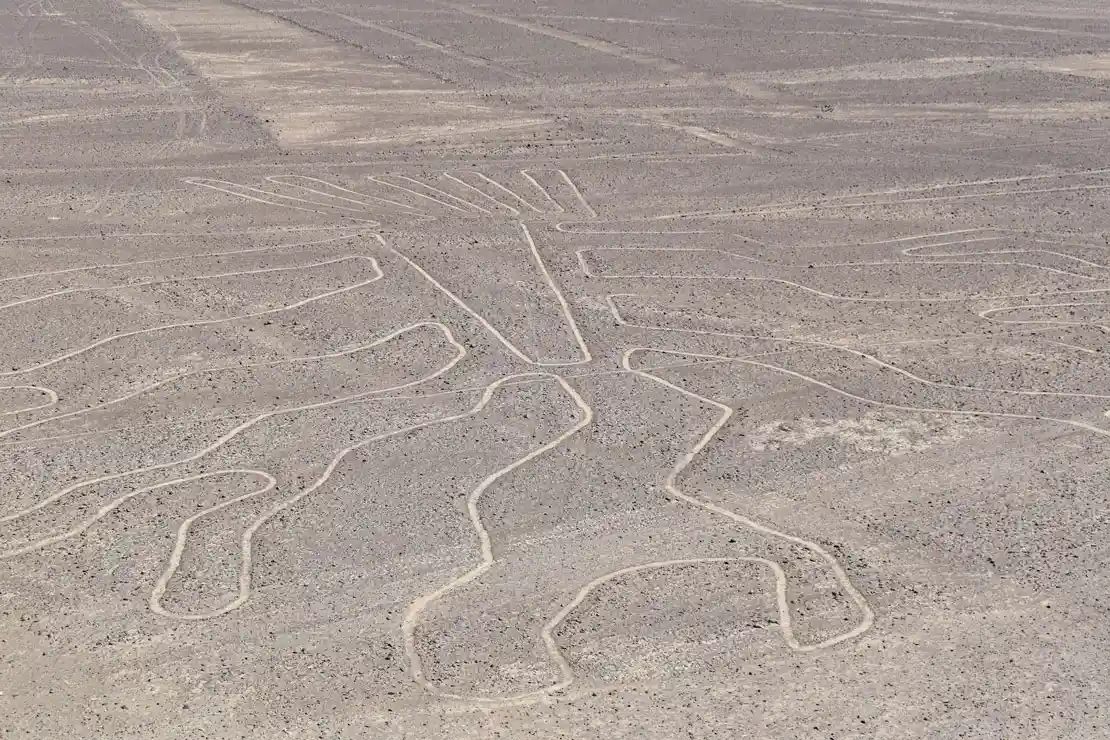 Cómo visitar las Líneas de Nazca