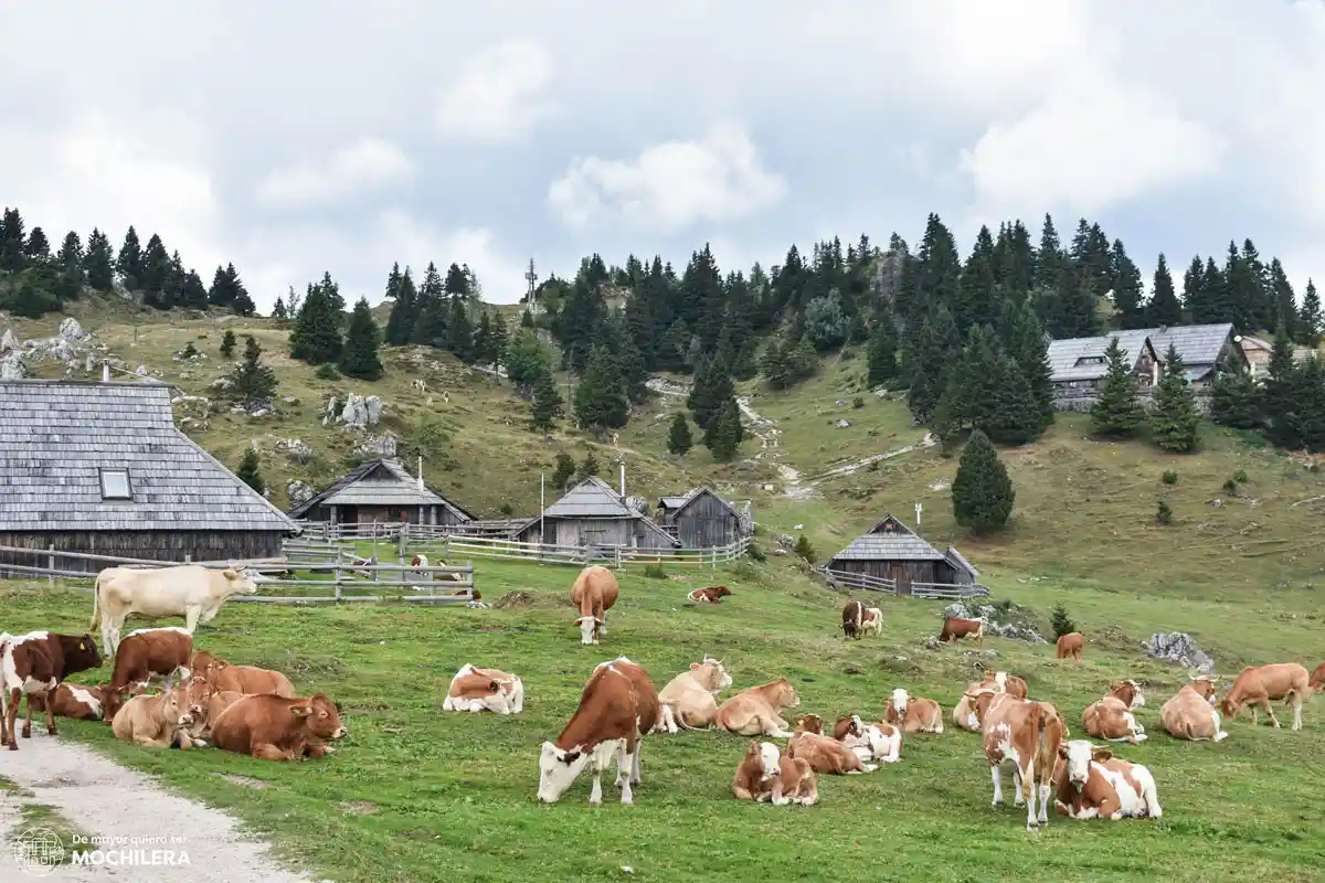 Velika Planina, un lugar que ver en Eslovenia en 7 días