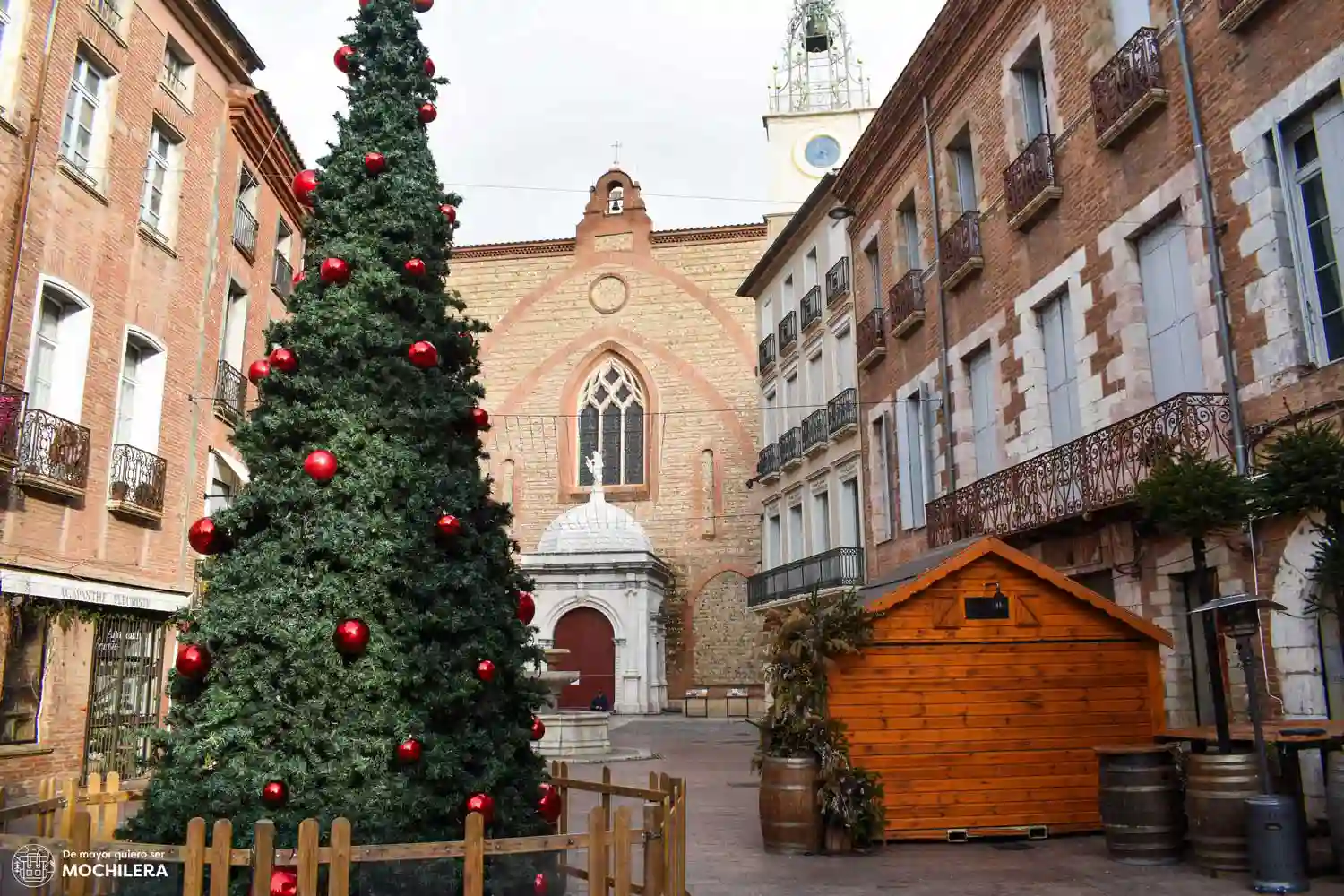 Catedral y árbol en la Place Léon Gambetta, Perpignan
