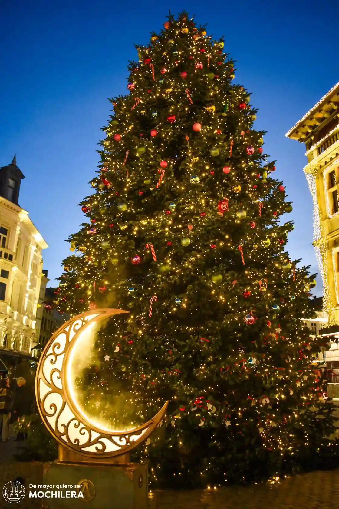 Árbol de Navidad de Grote Markt, Amberes