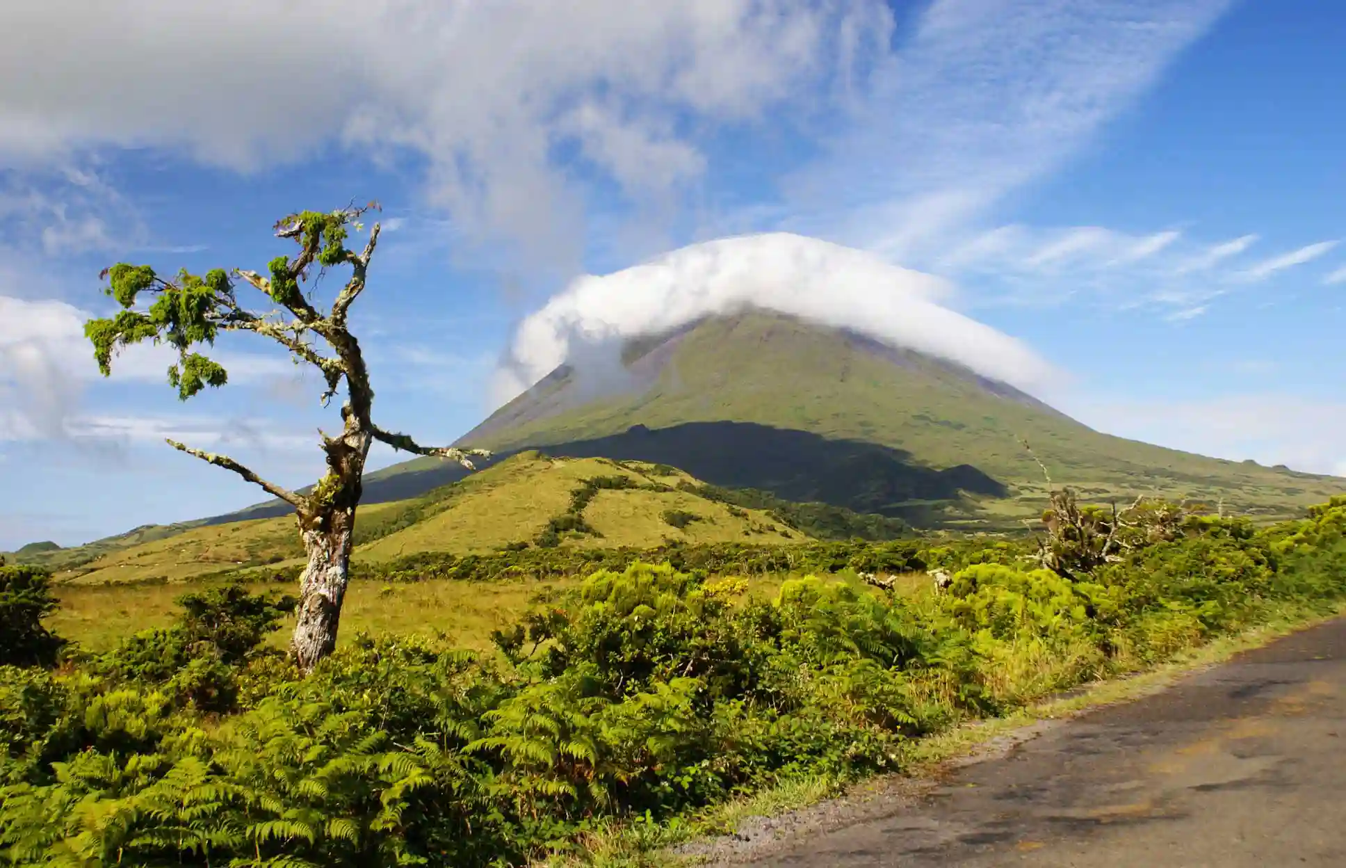 Isla de Pico, Azores