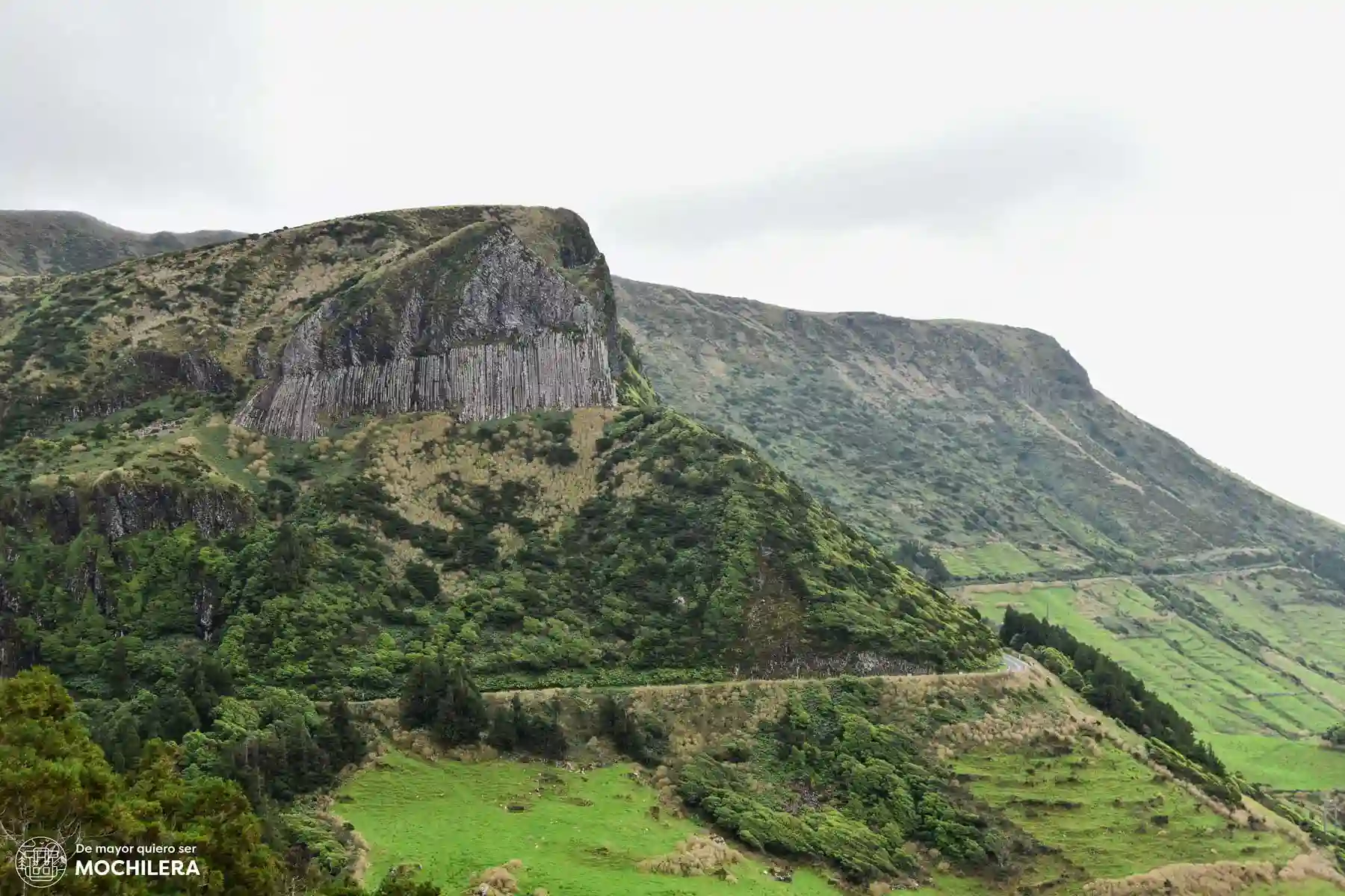 Rocha dos Bordões, Flores